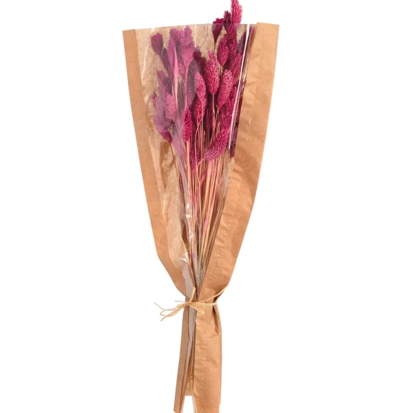 Depot Bouquet De Fleurs Sechees Herbe De Velours^ Fleurs