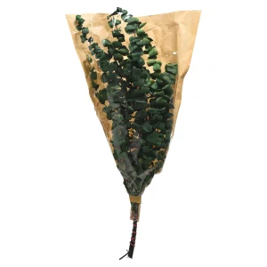 Depot Bouquet De Fleurs Sechees Eucalyptus^ Fleurs