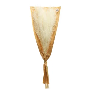 Depot Bouquet De Fleurs Sechees Scintillantes Miscanthus