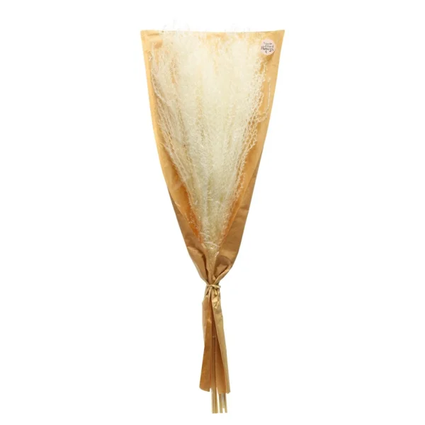 Depot Bouquet De Fleurs Sechees Scintillantes Miscanthus