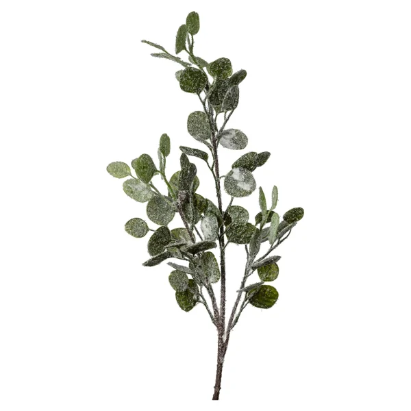 Depot Branche Artificielle Eucalyptus, Enneigee^ Décoration De La Couronne De L'Avent