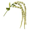 Depot Branche Artistique Amaranthus