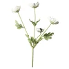 Depot Branche Artistique Anemone
