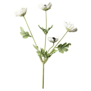 Depot Branche Artistique Anemone