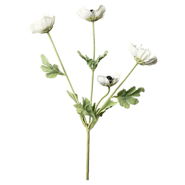 Depot Branche Artistique Anemone