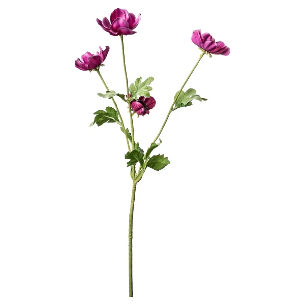 Depot Branche Artistique Anemone