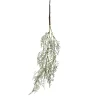 Depot Branche Artistique Astilbe