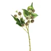 Depot Branche Artistique Blueberries