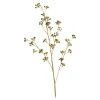 Depot Branche Artistique Bourgeon D'Eucalyptus