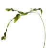 Depot Branche Artistique Cactus
