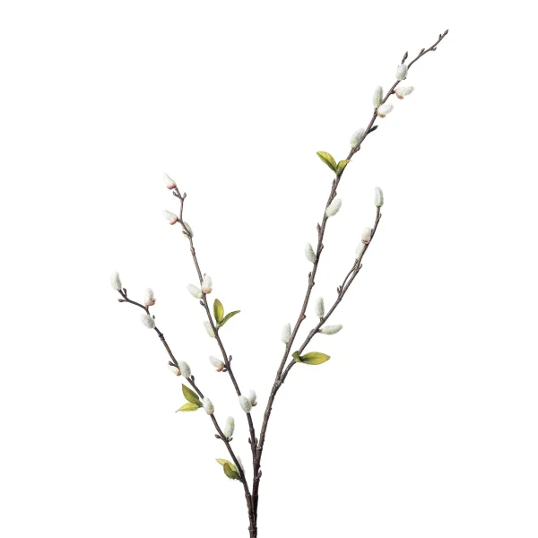 Depot Branche Artistique Chaton De Palmier Avec Feuilles
