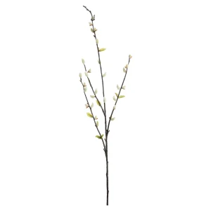 Depot Branche Artistique Chaton De Palmier Avec Feuilles