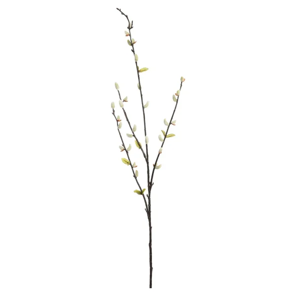 Depot Branche Artistique Chaton De Palmier Avec Feuilles