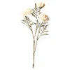 Depot Branche Artistique Chrysantheme^ Décoration De La Couronne De L'Avent