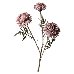 Depot Branche Artistique Chrysantheme^ Décoration De La Couronne De L'Avent