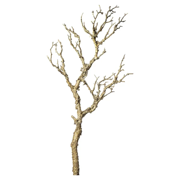 Depot Branche Artistique Deco