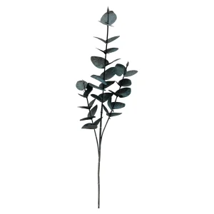 Depot Branche Artistique Eucalyptus