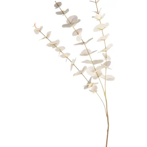 Depot Branche Artistique Eucalyptus^ Fleurs