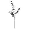 Depot Branche Artistique Eucalyptus