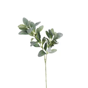 Depot Branche Artistique Eucalyptus^ Fleurs