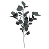 Depot Branche Artistique Eucalyptus