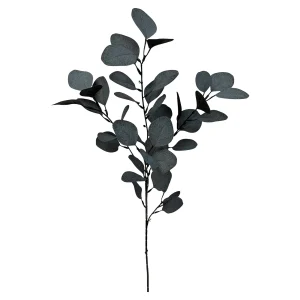 Depot Branche Artistique Eucalyptus