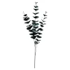 Depot Branche Artistique Eucalyptus