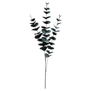 Depot Branche Artistique Eucalyptus