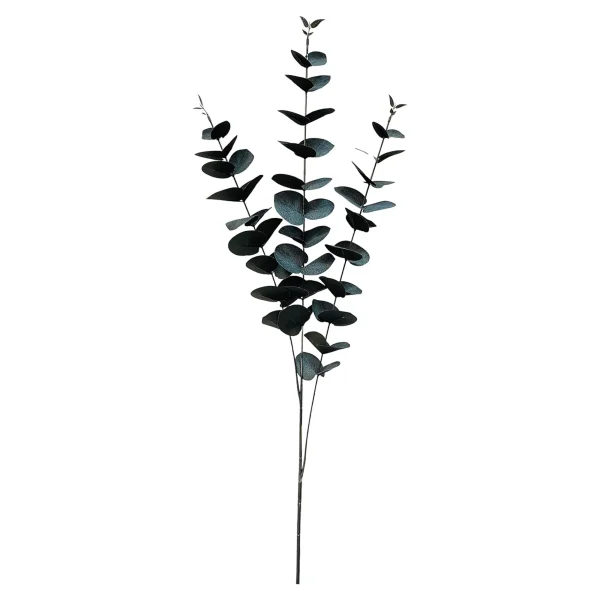 Depot Branche Artistique Eucalyptus