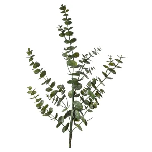 Depot Branche Artistique Eucalyptus