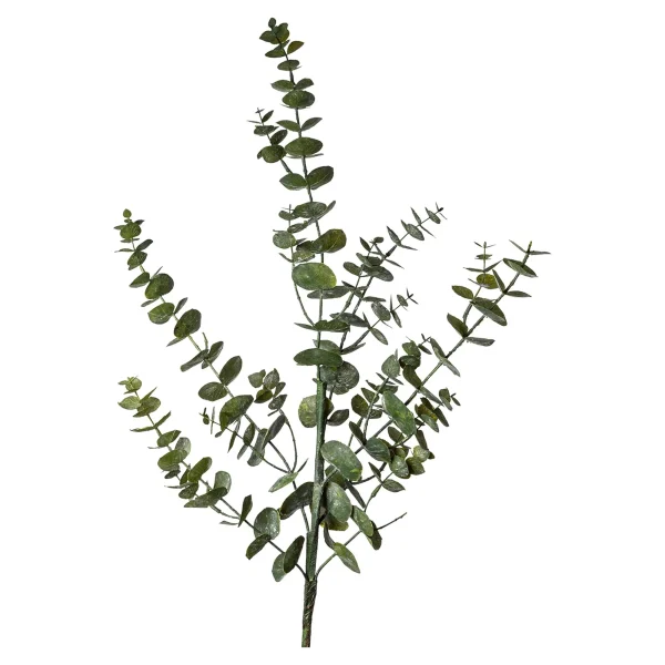 Depot Branche Artistique Eucalyptus
