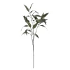 Depot Branche Artistique Eucalyptus