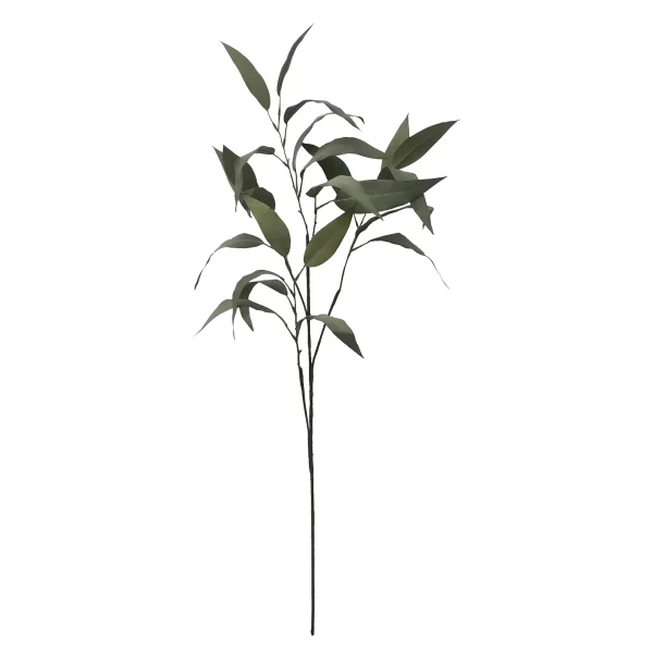 Depot Branche Artistique Eucalyptus
