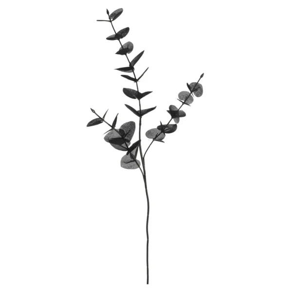 Depot Branche Artistique Eucalyptus