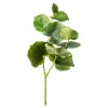 Depot Branche Artistique Eucalyptus