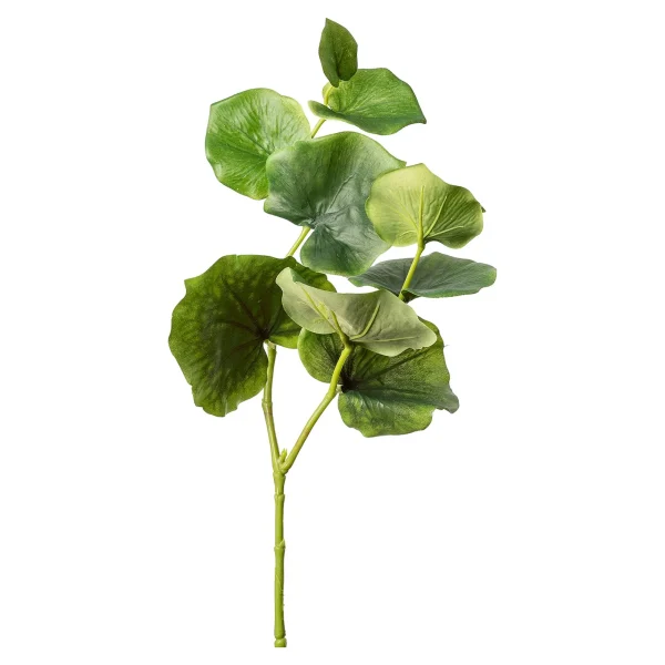 Depot Branche Artistique Eucalyptus