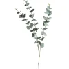 Depot Branche Artistique Eucalyptus^ Fleurs