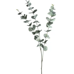 Depot Branche Artistique Eucalyptus^ Fleurs