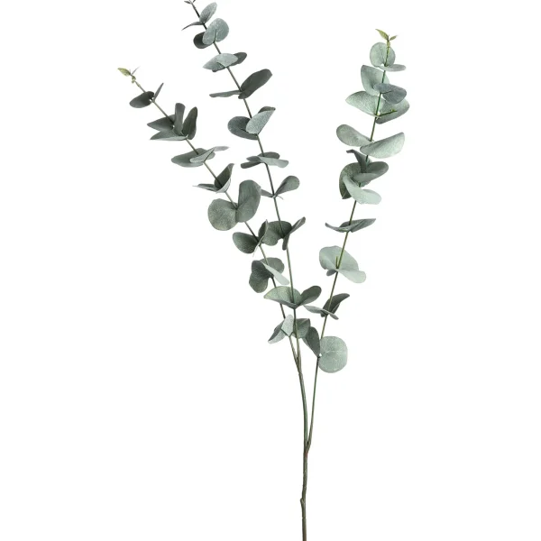 Depot Branche Artistique Eucalyptus^ Fleurs