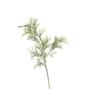Depot Branche Artistique Fougere Des Bois^ Fleurs