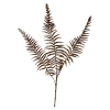 Depot Branche Artistique Fougere^ Fleurs