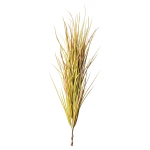 Depot Branche Artistique Herbe^ Décoration De La Couronne De L'Avent