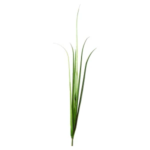 Depot Branche Artistique Herbe