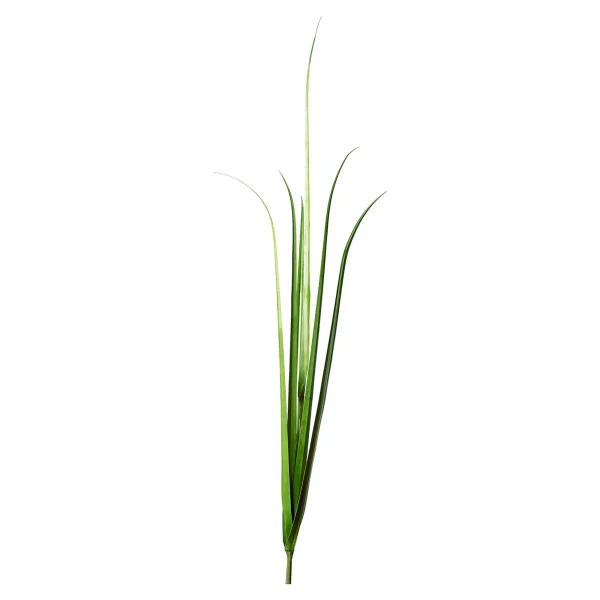 Depot Branche Artistique Herbe