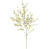 Depot Branche Artistique Herbes