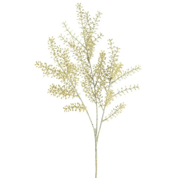 Depot Branche Artistique Herbes
