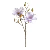 Depot Branche Artistique Magnolia