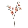 Depot Branche Artistique Magnolia