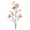 Depot Branche Artistique Magnolia