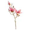 Depot Branche Artistique Magnolia^ Décoration De La Couronne De L'Avent